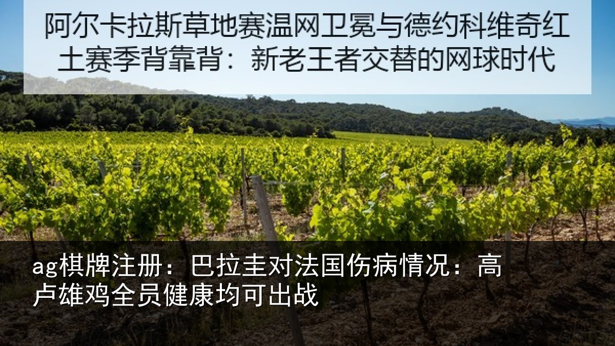 ag棋牌注册:巴拉圭对法国伤病情况:高卢雄相关情况战