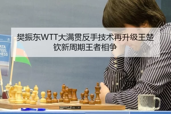 樊振东WTT大满贯反手技术再升级王楚钦新周期王者相争